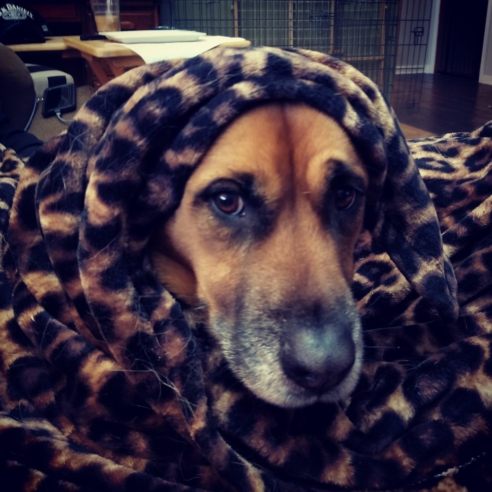 Meet your Posher, Dominique